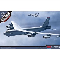 1144 미공군 B-52H 제20 폭격비행대 버캐니어스 12622, 1개
