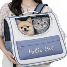 강아지 고양이 산책가방 이동장, 1개, 블루