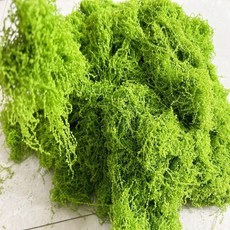 臺灣熱銷 仿真苔蘚草坪綠化景觀青苔草皮水陸缸鋪麵植物牆永生水苔盆景盆栽, 團狀 按重量一斤價格 淺綠色, 1個