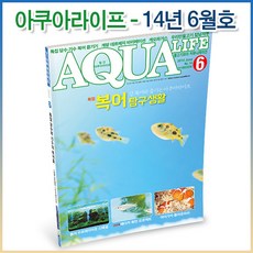 아쿠아라이프 2014년 6월호