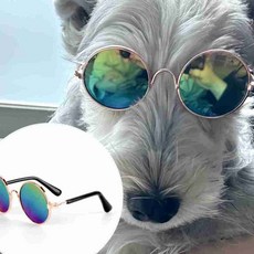 반려동물 원형 안경 애완동물용 썬글라스 고양이아이템