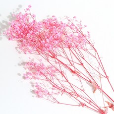 화연양화 프리저브드플라워 안개꽃 8색 시들지않는생화 디퓨저꽃, 02 핑크