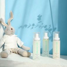 이든트리 허브 프로럴 프로티 타입 KTC 국가 공인 인증받은 천연 섬유향수 탈취제, 1개, 60ml, 핑크자몽