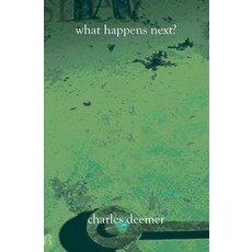 (영문도서) What Happens Next?: An Introduction to Screenwriting Paperback, Booksurge Publishing, English, 9781588989079