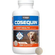Nutramax Cosequin Maximum Strength Joint Health Supplement for Dogs - With Glucosamine Chondroitin, 250정, 관절, 1개