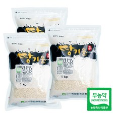 고산농협 땅기운 친환경 찹쌀, 3개, 1kg
