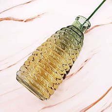 유리화병 가로 스트라이프 디자인 식물_mdcare26