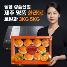 농협 정품선별 한라봉 선물세트, 1박스, 5kg