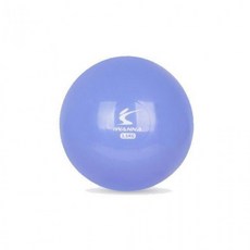 재활 또는 근력 훈련에 사용하는 말랑한 웨이트볼, IW 웨이트볼_오키드퍼플1KG, 1개