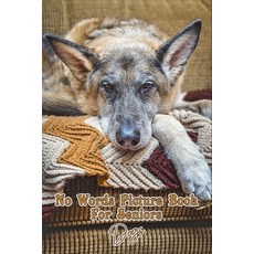 (영문도서) No Words Just Pictures For Seniors: Great picture book gift for all ages but focused on senio... Paperback, Independently Published, English, 9781687638298