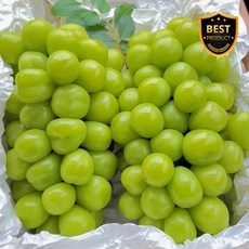 [고당도] 애플청포도 어텀크리스피 아삭달콤 씨없는 오톰크리스피, 1개, 달콤 애플청포도 500G