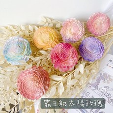 大貝力 巨無霸太陽玫瑰索拉玫瑰擴香花 通草花捧花花材 居家香氛裝飾, 1個, 07