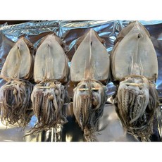 속초 국내산 반건조오징어 소/중/대/특대/왕대/특왕대 피데기 동해안오징어 국산 반건오징어 덜말린오징어, 1개, 반건조(중)10마리 1.2kg내외