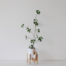 롱 엔카이셔스 우드다리 조화화분세트 리얼플랜트 집들이 화분 개업선물 기획한정특가, 롱 엔카이셔스+화분/받침대+우드다리+흰돌+에그스톤3p, 1개