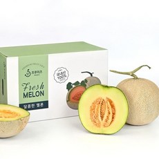 당도선별 머스크 멜론 특품 3kg (2수), 없음, 상세설명 참조