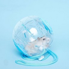 투명 런닝볼 이동식 산책공 스트랩 포함 소동물 햄스터 운동 놀이 장난감 안전한, 1개, 핑크