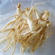 금산 참 인삼 수삼 작은 콩 난발삼 750g 세척진공포장, 1세트