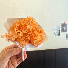 프리저브드 미니 수국 꽃다발, 오렌지