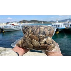 국산 왕 바지락 1kg 60미내외