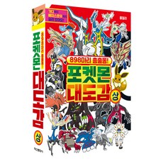 포켓몬 대도감 상 흥미