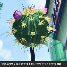 머스코 자동차 선인장모형 안테나 볼 장식용품, 연보라 플라워 선인장 2개 안테나볼 포함