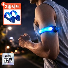레츠팡 SL-850 야간 안전 LED 러닝 암밴드 라이트, 네온 블루, 1세트 네온 블루, 1세트