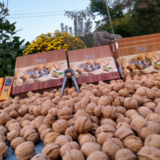 자연담아 2025년산 국산호두 햇호두 영동호두 알호두 토종호두 1kg 2kg 선물용박스 호두까기 포함, 1박스