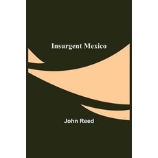 (영문도서) Insurgent Mexico Paperback, Alpha Edition, English, 9789356575875