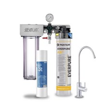 愛惠浦 EVERPURE QL3-4H2 淨水器, 雙道 搭PP除泥沙濾心