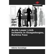 (영문도서)Acute Lower Limb Ischemia in Ouagadougou Burkina Faso Paperback, Our Knowledge Publishing, English, 9786209972584 Our Knowledge Publishing, English, 9786209972584