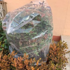 야외 나무 방한 비닐 덮개 서리방지 커버 투명 대형 목재 식물, 1 가로 80x높이 110(5개)