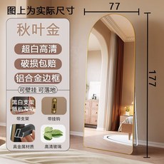 法式複古鏡子 鋁合金邊框 高清玻璃, 秋葉金-【高清銀鏡】,42*152CM, 秋葉金