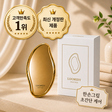 루미디 프리미엄 스톤 발각질제거기 반영구, 85g, 1개, 1개입