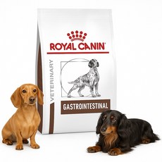 旺財好鋪 皇家處方 GI25腸胃道狗飼料 2KG 7.5KG, 1個, 腸胃道