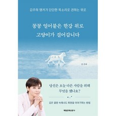 꽁꽁 얼어붙은 한강 위로 고양이가 걸어갑니다:김주하 앵커가 단단한 목소리로 전하는 위로, 김주하 저, 매일경제신문사