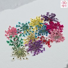 네일안개꽃생화칼라믹스 네일아트파츠 재료스톤, 1개