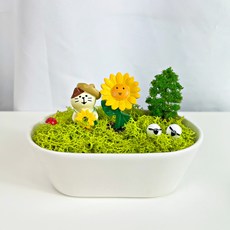 모모커머스 스칸디아모스 화분 신혼부부선물/개업 화분 선물/오픈 선물 이끼, [대박나세요] 개업 선물, 1개