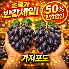 [재구매1위] 블랙사파이어 가지포도 10kg 옵션형 씨없는포도 고당도포도 껍질째 먹는 포도, 1개, 2kg