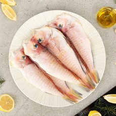 [오초록] 제주 옥돔 5미(650g), 1개