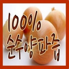 진성식품 물없이100% 순수양파즙 100ml 60팩/120팩 행사/ 추출 후 한번 더 농축, 순수양파즙 30 X 4박스 120팩, 120개