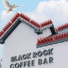 아트박스/와인앤쿡 베란다 비둘기퇴치 동물퇴치망, 1개