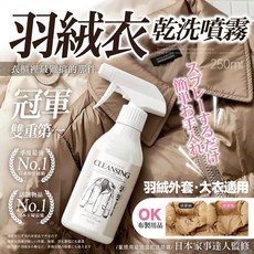 泡泡乾洗噴霧 羽絨外套・大衣適用, 1個