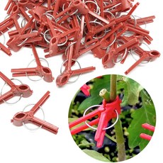 스토비투 접목 집게 클립 포도 모종 접목크립 접붙이기 농자재, 원형, 50개