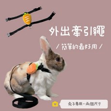 安心寵物精品 胡蘿蔔外出牽引繩•兔子外出簡易牽引繩·兔子外出繩兔子牽繩·兔子用品兔子, 1個, 胡蘿蔔牽引繩,S號-適合0.8-1.6kg