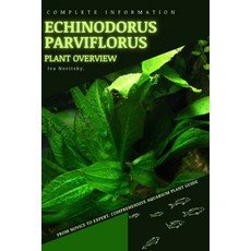 (영문도서) Echinodorus parviflorus: From Novice to Expert. Comprehensive Aquarium Plants Guide Paperback, Independently Published, English, 9798854499170