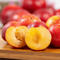 [한정판매] 올해 마지막으로 즐기는 추희 왕자두의 달콤한 여운, 1개, 추희왕자두 2kg 대과 15-18과,