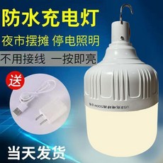 新品 充電燈泡夜市擺攤野外露營可移動停電應急節能燈泡暖光三色光 副廠商品, 1個, 暖光 三檔調光 ,60W 高配款 送充電線