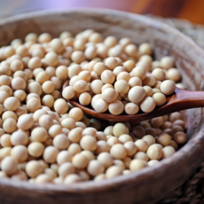 2025년산 국산 나주 메주콩 백태콩 저속노화식단, 1kg, 1개