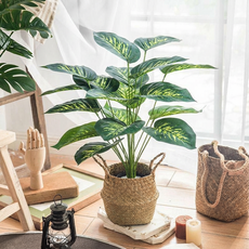 그린 오피스 데스크톱 시뮬레이션 인테리어 화분 식물, 1개, 피톤(높이 약 70CM)