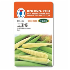 KNOWN-YOU 玉米筍種子 SV-435 家庭園藝特選種子，非基因改造，台灣全年可種植, 1個